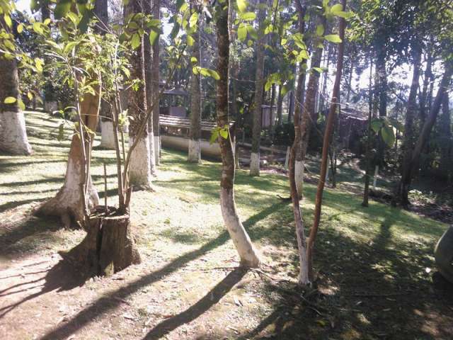 Foto 9