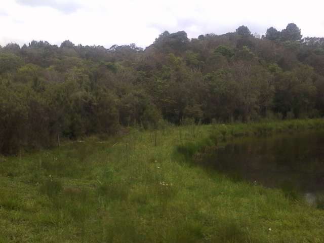 Foto 9