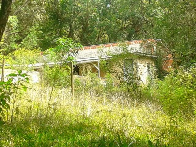 Foto 41
