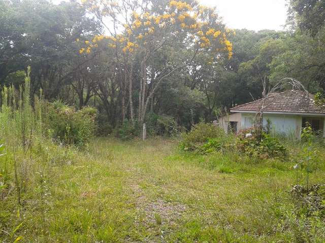 Foto 40