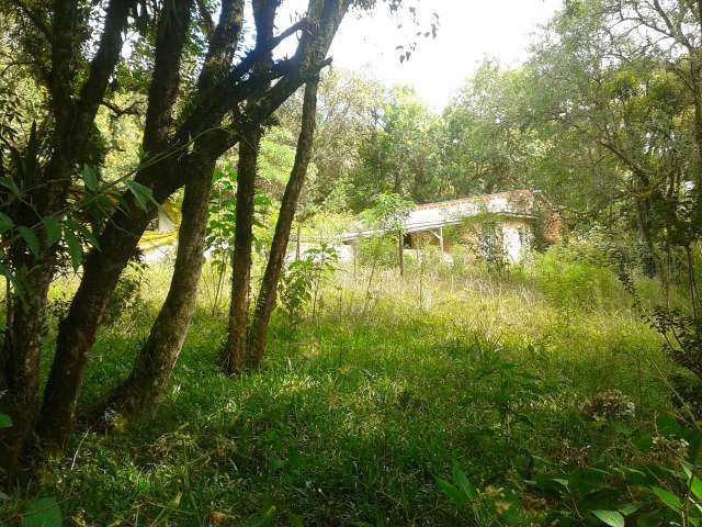 Foto 42