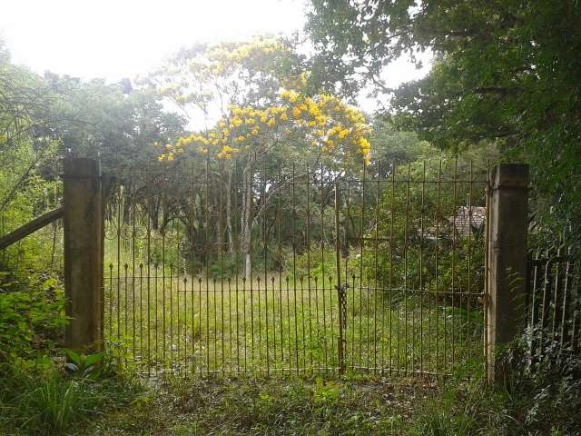 Foto 37
