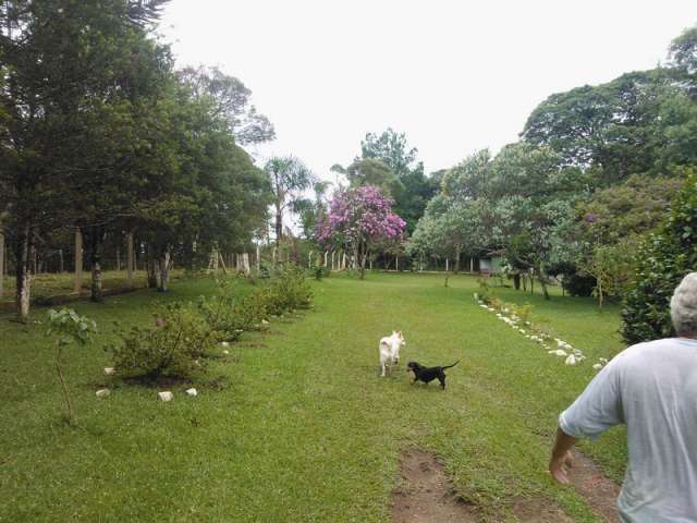 Foto 8