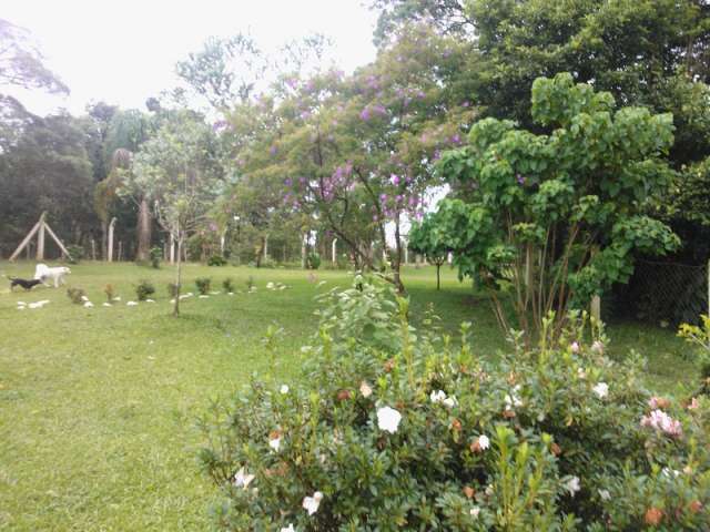 Foto 11