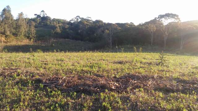 Foto 9