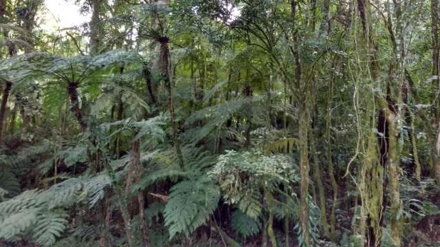 Foto 10