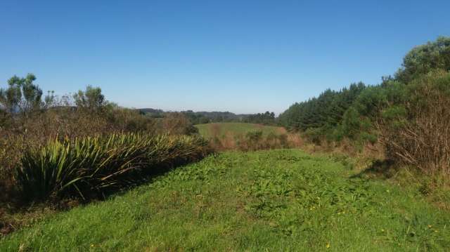 Foto 16