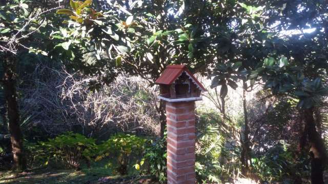 Foto 33