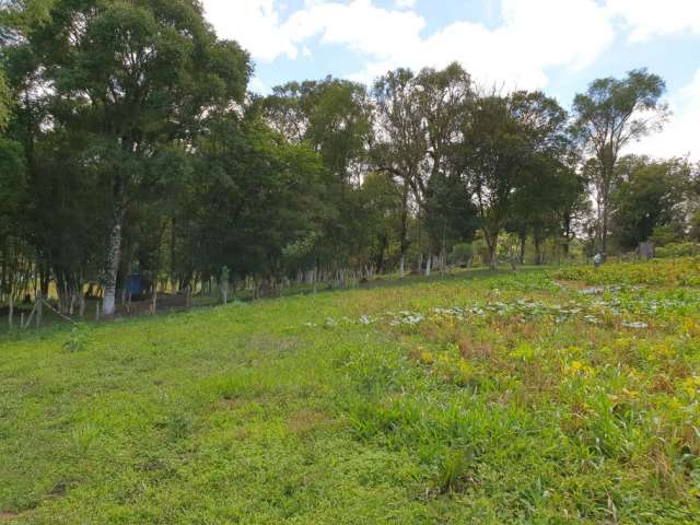Foto 17
