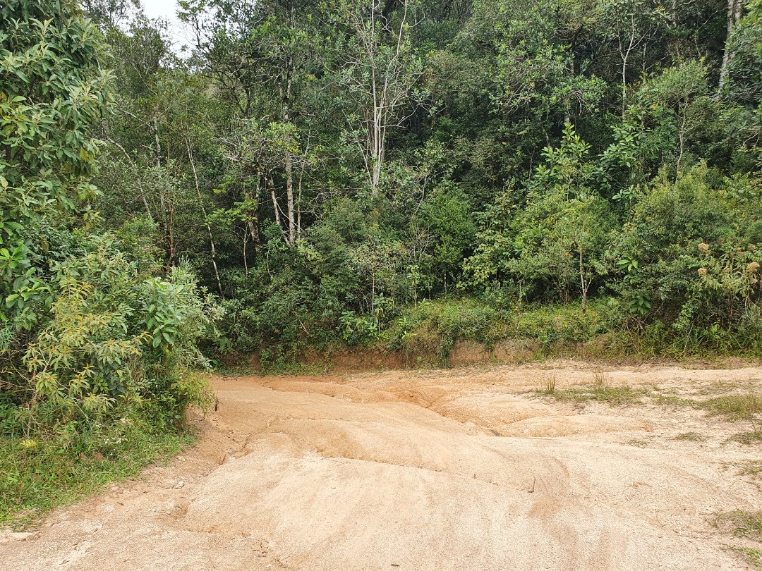 Foto 15