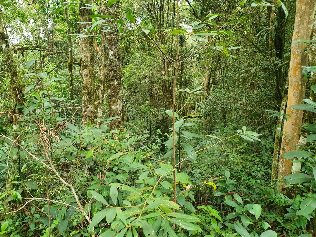 Foto 11