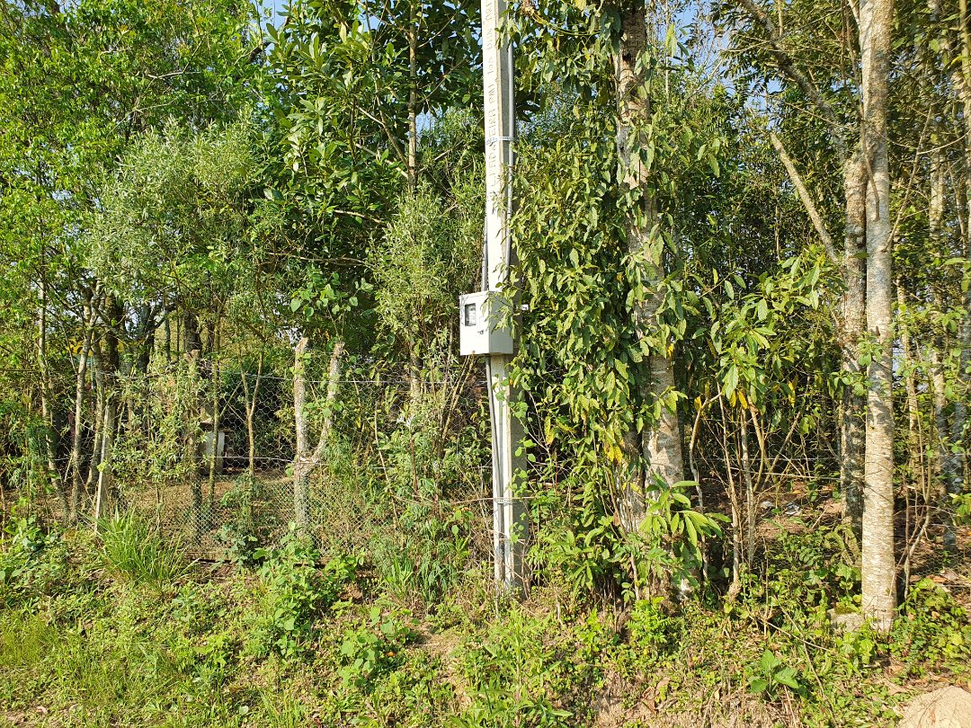 Foto 8