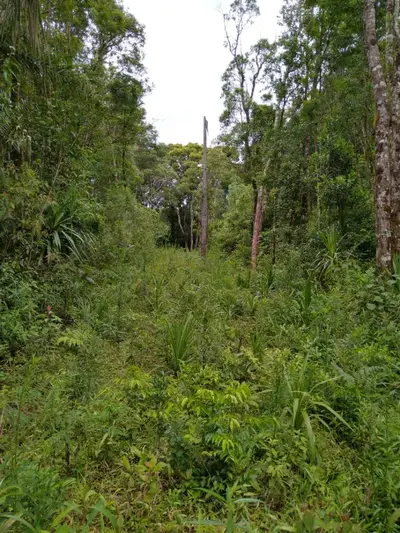 Imóvel