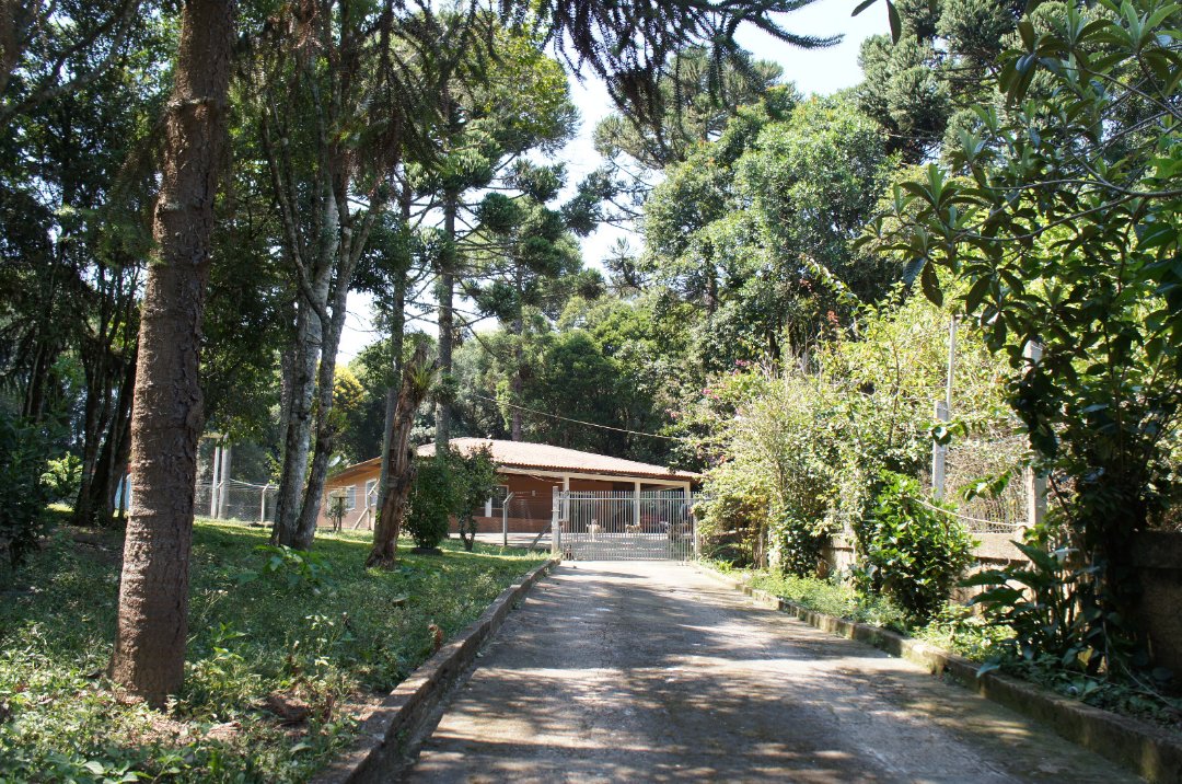Foto 17