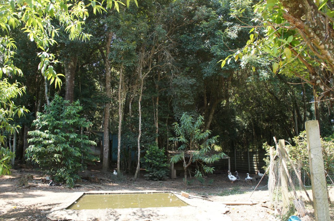 Foto 7